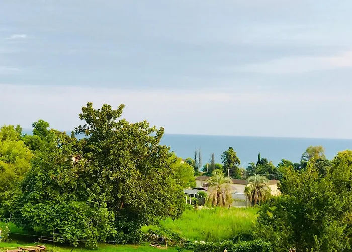 Palm Hotel