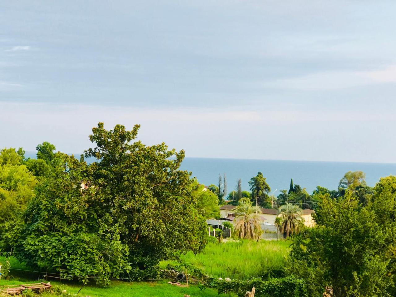 Palm Hotel New Athos